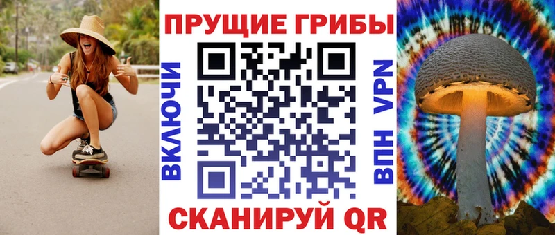где продают наркотики  кракен ССЫЛКА  Псилоцибиновые грибы GOLDEN TEACHER  Чаплыгин 